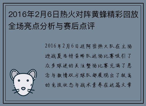 2016年2月6日热火对阵黄蜂精彩回放全场亮点分析与赛后点评